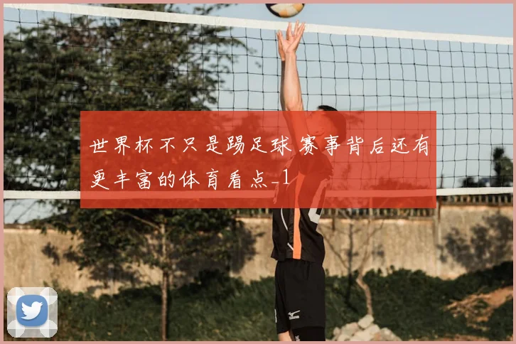世界杯不只是踢足球 赛事背后还有更丰富的体育看点_1