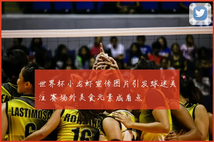 世界杯小龙虾宣传图片引发球迷关注 赛场外美食元素成看点