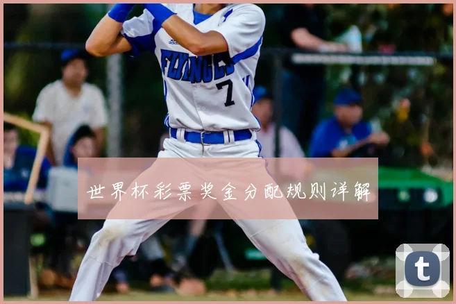 世界杯彩票奖金分配规则详解