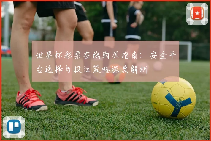 世界杯彩票在线购买指南：安全平台选择与投注策略深度解析