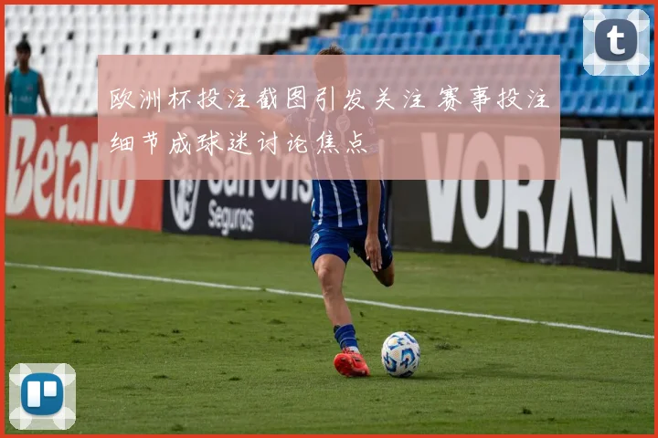欧洲杯投注截图引发关注 赛事投注细节成球迷讨论焦点