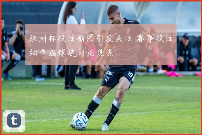欧洲杯投注截图引发关注 赛事投注细节成球迷讨论焦点