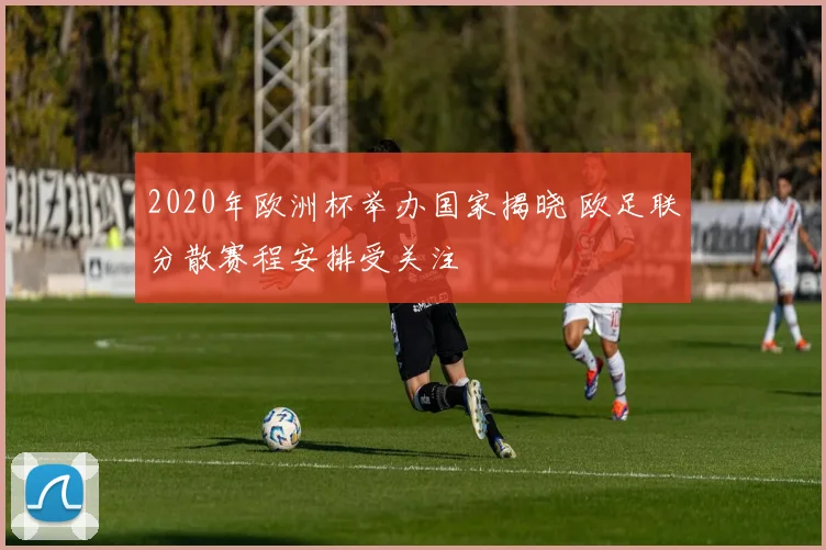 2020年欧洲杯举办国家揭晓 欧足联分散赛程安排受关注