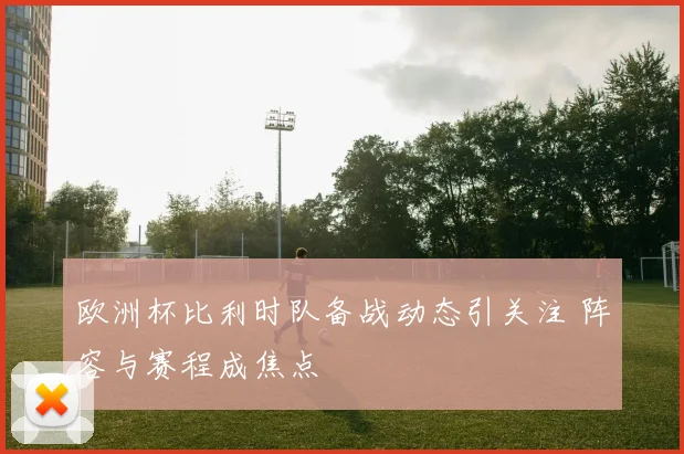 欧洲杯比利时队备战动态引关注 阵容与赛程成焦点