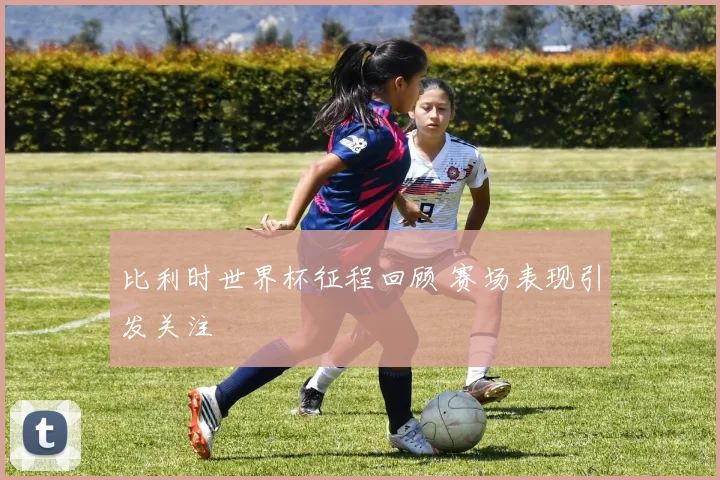 比利时世界杯征程回顾 赛场表现引发关注