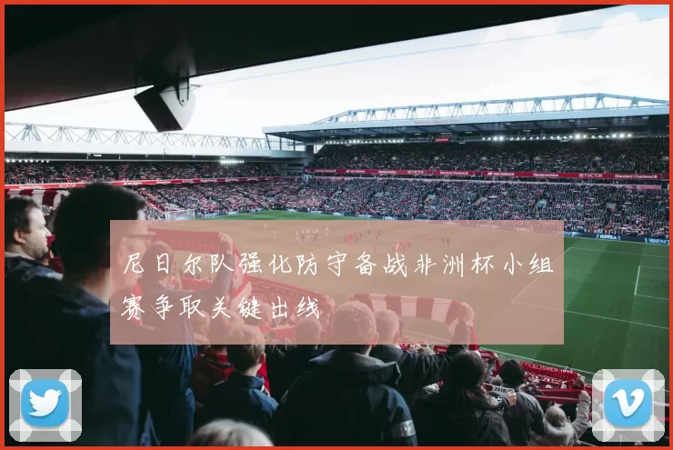 尼日尔队强化防守备战非洲杯小组赛争取关键出线