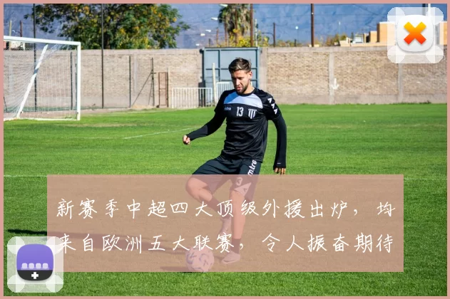 新赛季中超四大顶级外援出炉，均来自欧洲五大联赛，令人振奋期待_斯坦丘_西班牙人_罗马