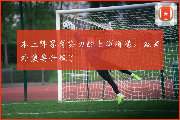 本土阵容有实力的上海海港，就差外援要升级了